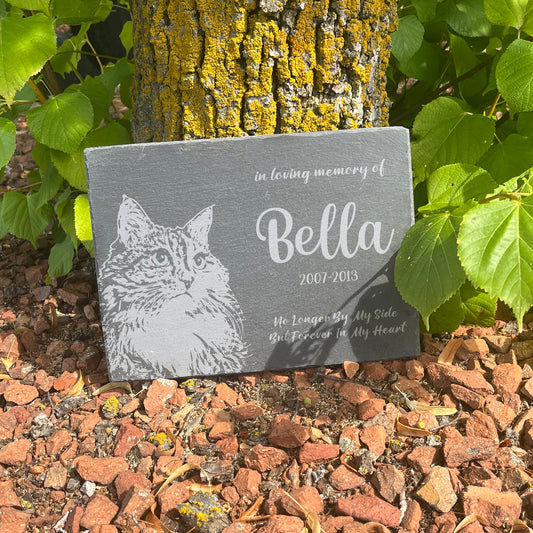 Pet Paw or Face Print Memorial Stone -  RECTANGLE LARGE SIZE